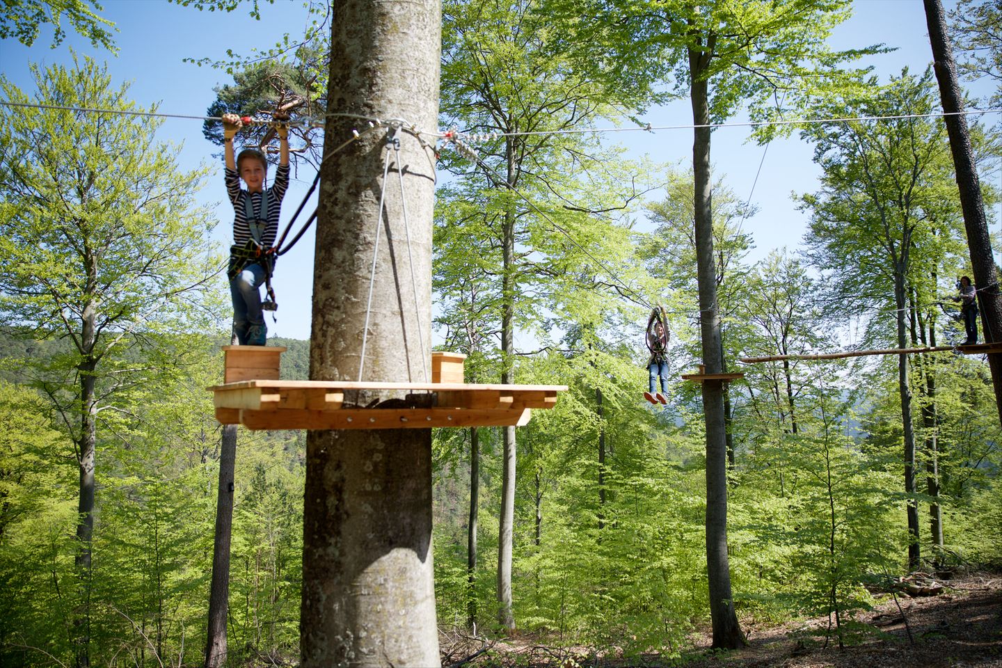 Rasant durch den Wald: Ziplinepark Elmstein Kinder an der Zipline