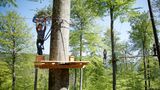 Kinder an der Zipline