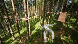Personen auf Plattformen im Hochseilgarten