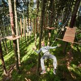 Personen auf Plattformen im Hochseilgarten