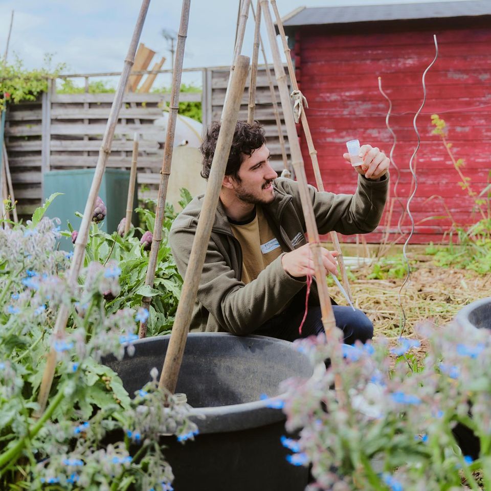 Nicolas Le Doeuff überprüft das Wasser in einer Plastikwanne. Entdeckt er Larven der Tigermücke, versprüht er verdünntes Insektizid