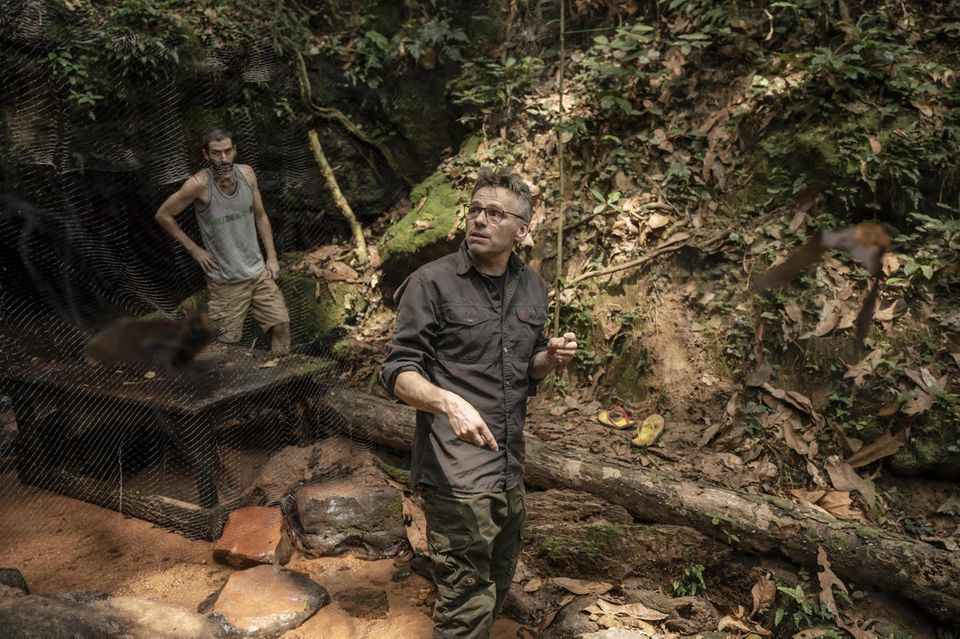 Der Forscher Fabian Leendertz steht im Wald