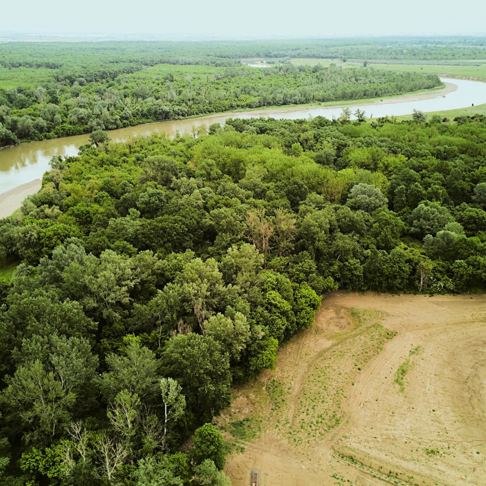 Der Wasserstand in Rumäniens zweitlängstem Fluss, dem Mieresch, ist seit 2005 um mehr als die Hälfte gesunken