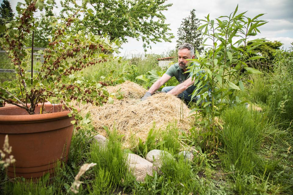 Ein Mann mulcht ein Beet im Permakulturgarten