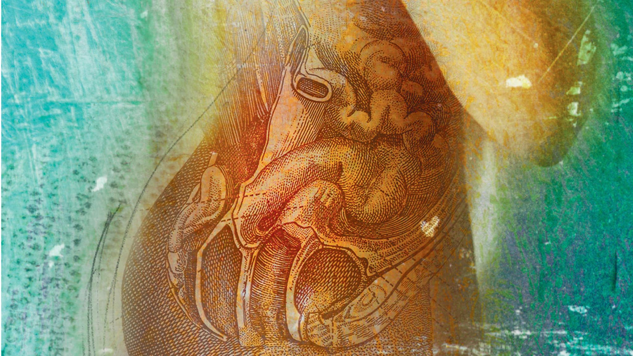 Zeichnung eines weiblichen Körpers mit transparentem Magen-Darm-Bereich