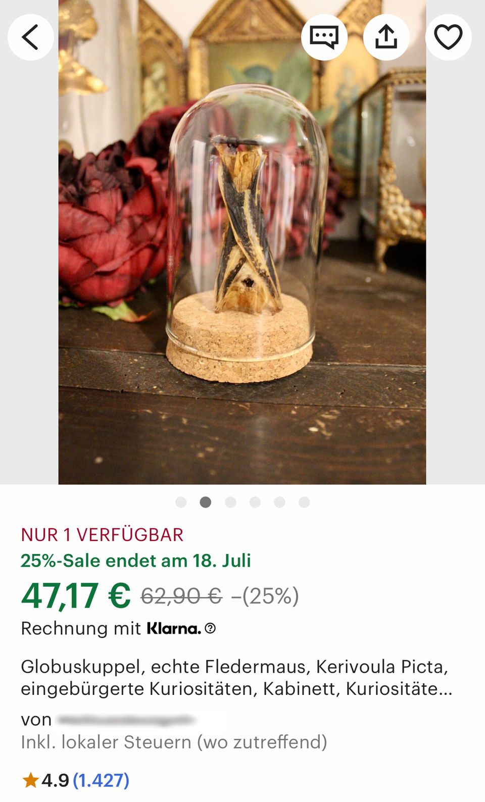 Wer sich durch Etsy scrollt, stößt auf präparierte Fledermäuse in unterschiedlichster Form: unter Glasglocken, hinter Bilderrahmen oder als Haarschmuck