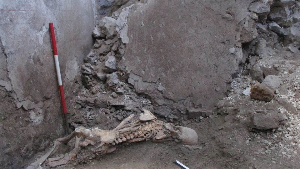 Skelett liegt verschüttet im Boden