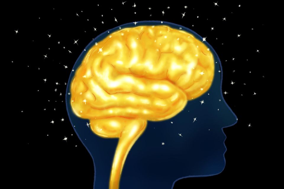 Leuchtendes Gehirn - Intelligenz 1.3951