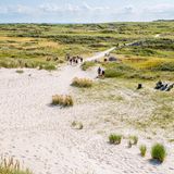 Dünen, viel Sand und Heideland mit Menschen, Blick von oben.