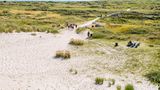 Dünen, viel Sand und Heideland mit Menschen, Blick von oben.