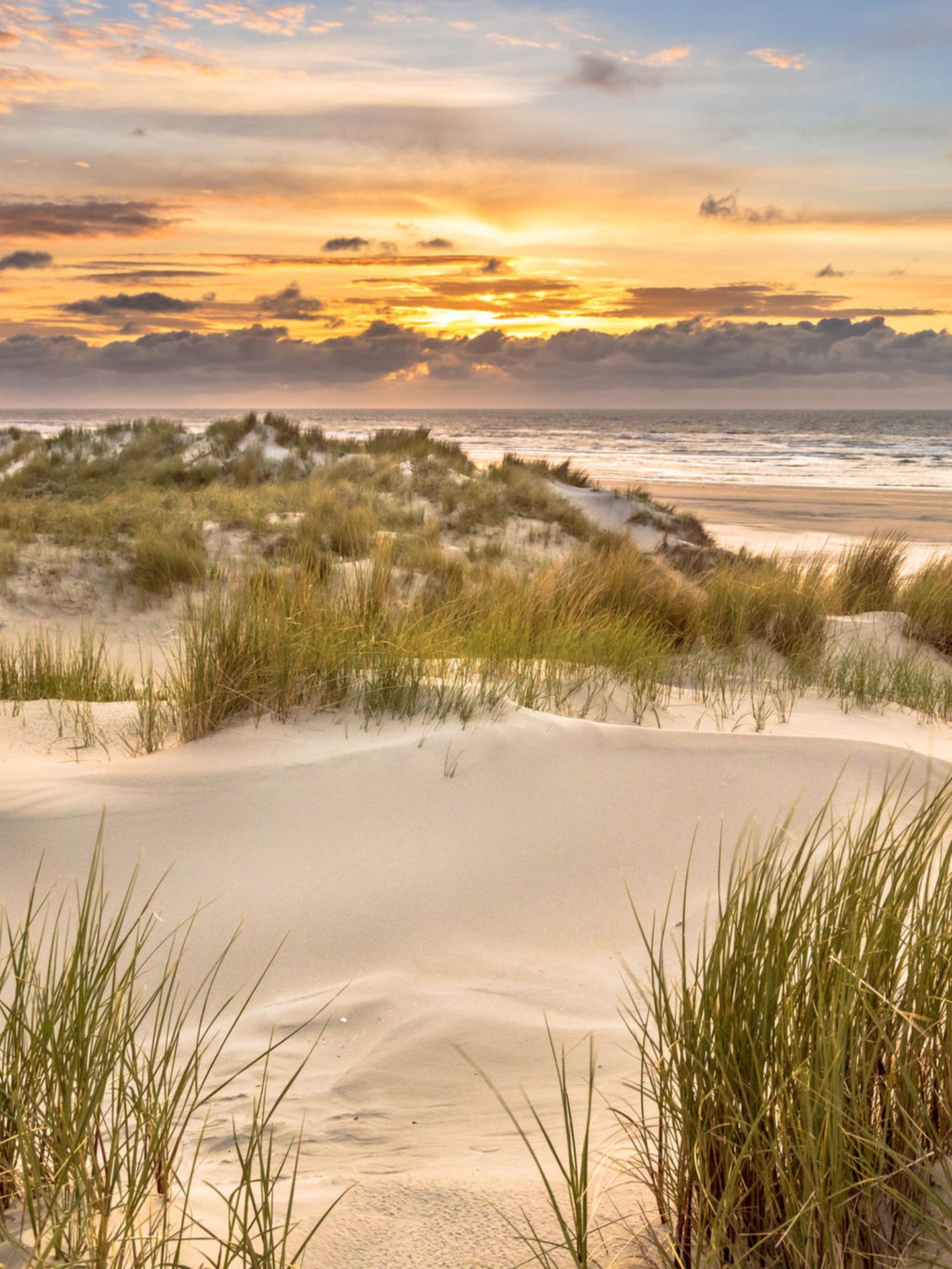 Strand im Ameland, Dünen, Sonnenuntergangsstimmung
