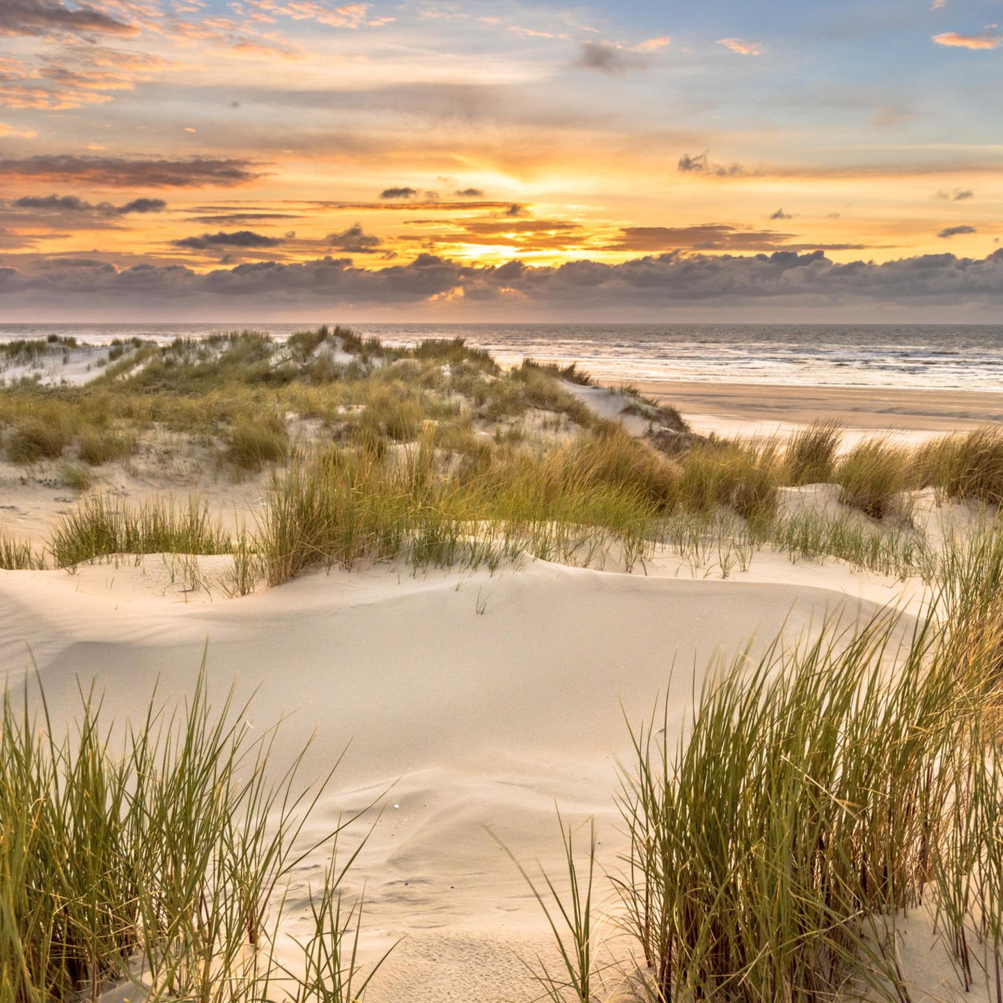 Strand im Ameland, Dünen, Sonnenuntergangsstimmung
