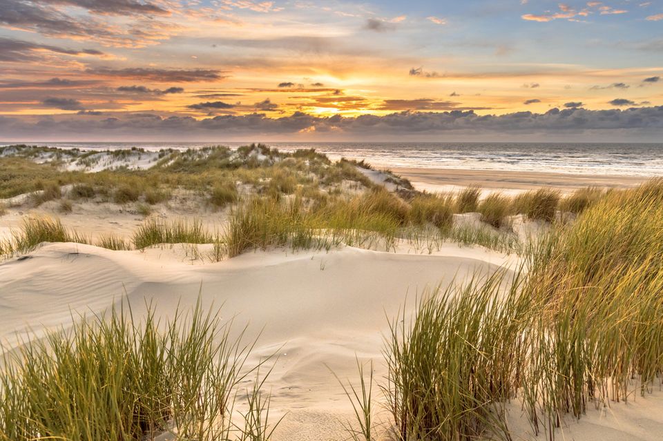Strand im Ameland, Dünen, Sonnenuntergangsstimmung 1.5004