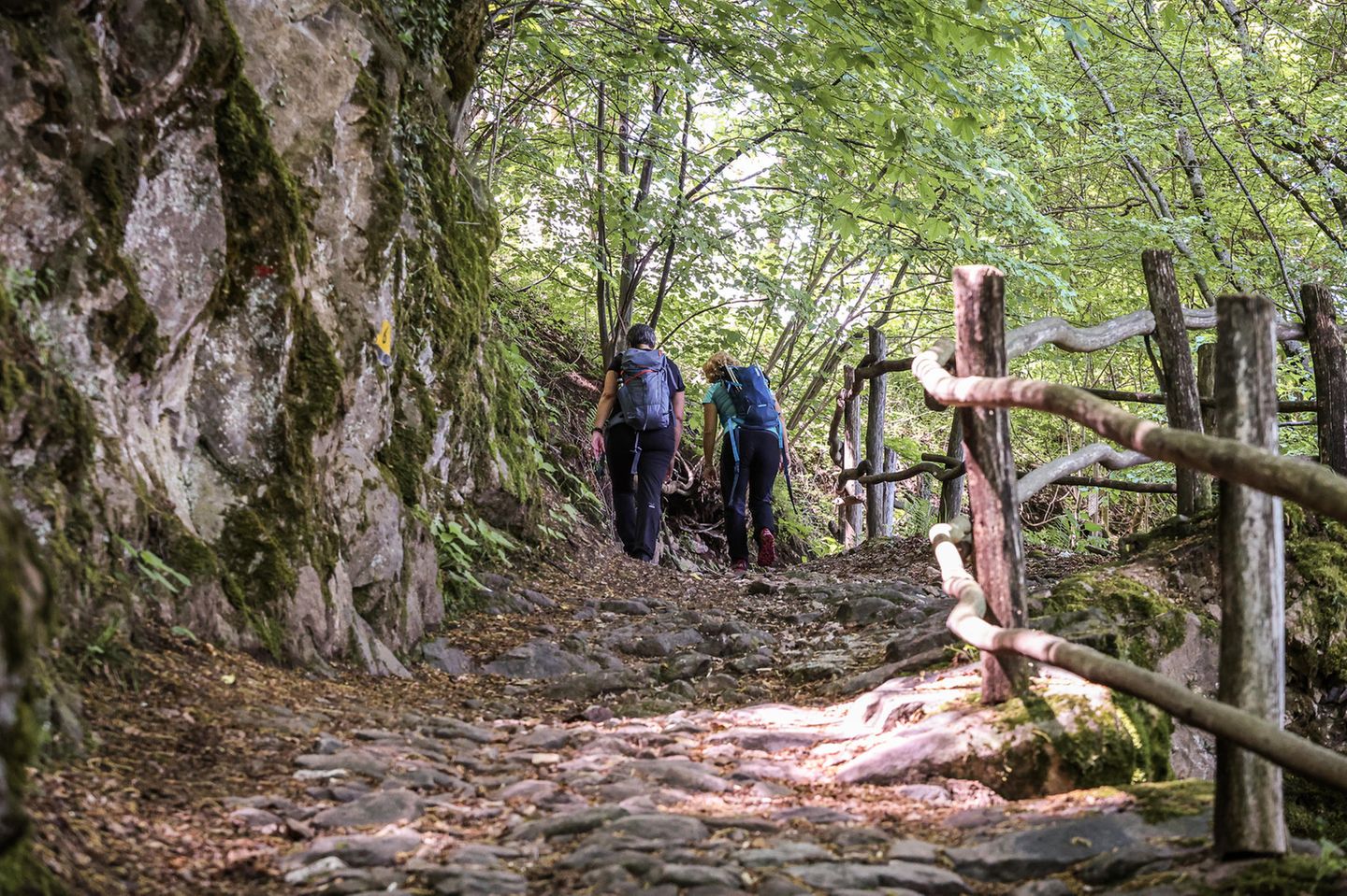 Der Dürerweg Wanderer von hinten