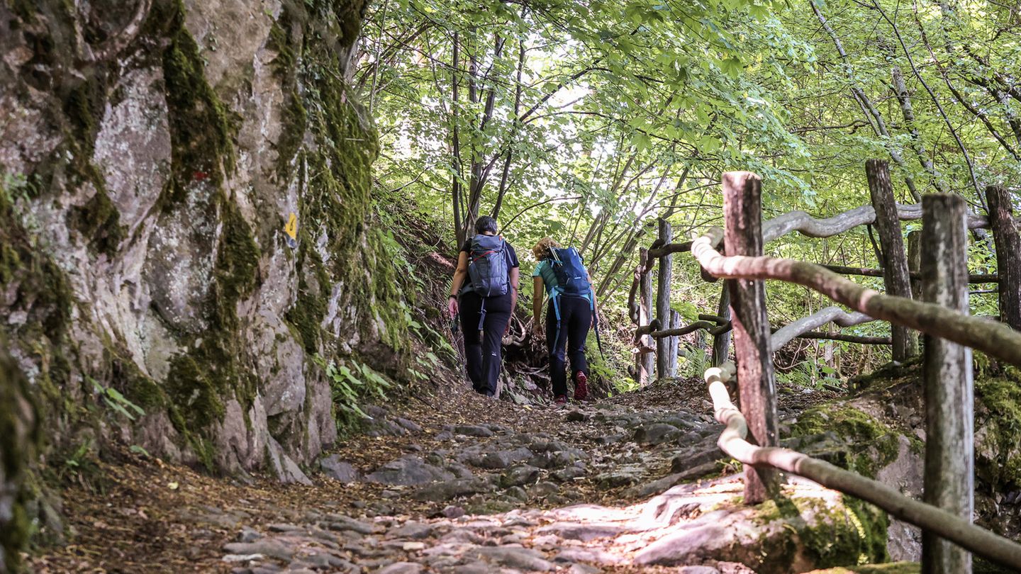 Der Dürerweg Wanderer von hinten
