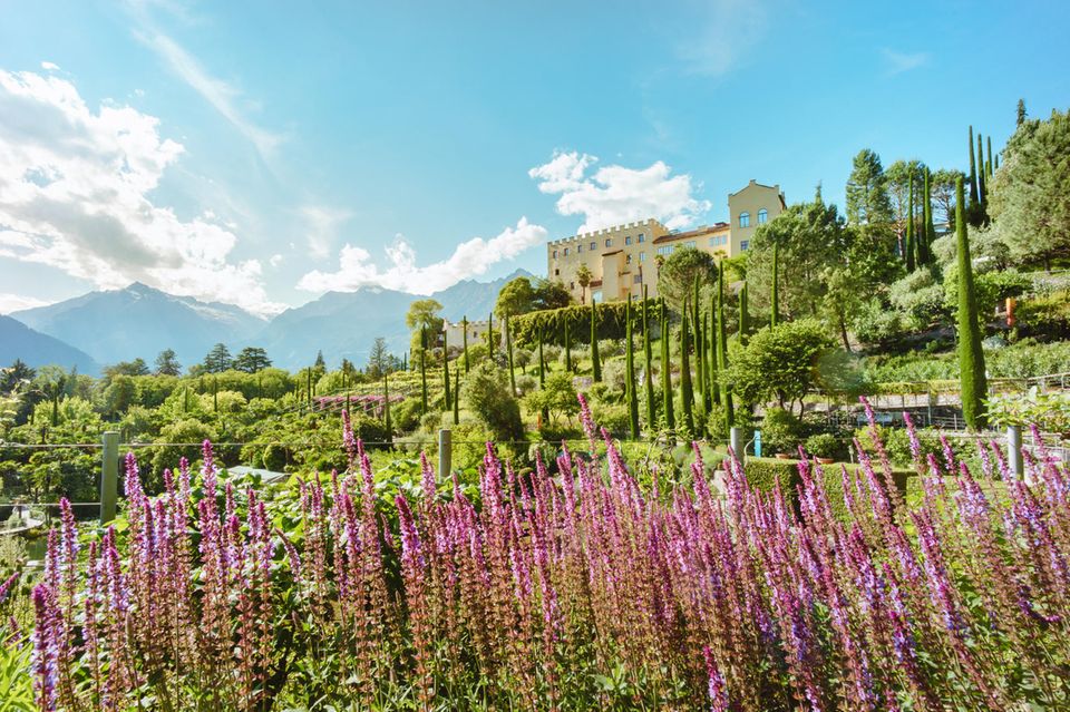 Schloss vor Garten