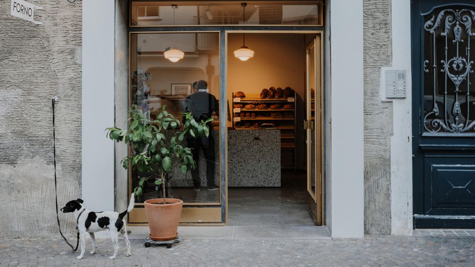 Hund vor Bäckerei