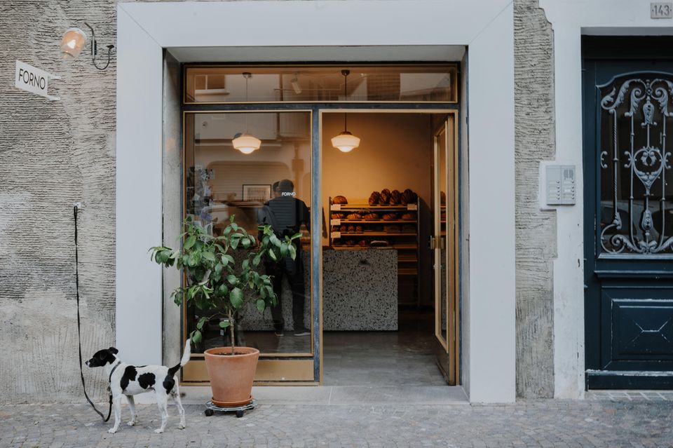 Hund vor Bäckerei