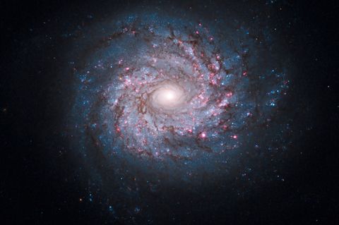 Spiralgalaxie