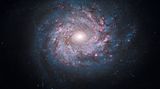 Spiralgalaxie