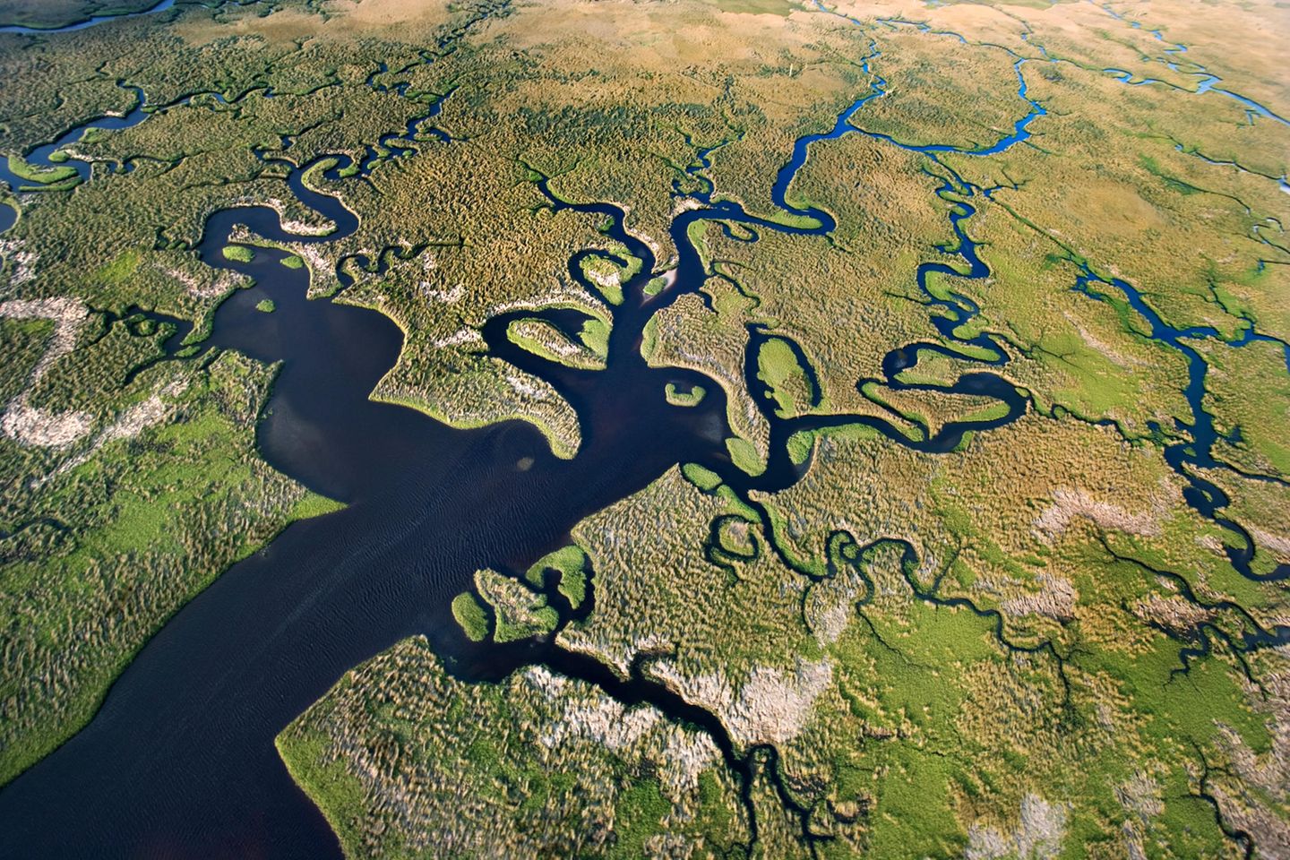Floridas Everglades: Wo die Prärie im Fluss ist eine obere Sicht auf die Everglades