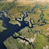 eine obere Sicht auf die Everglades