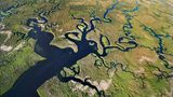 eine obere Sicht auf die Everglades