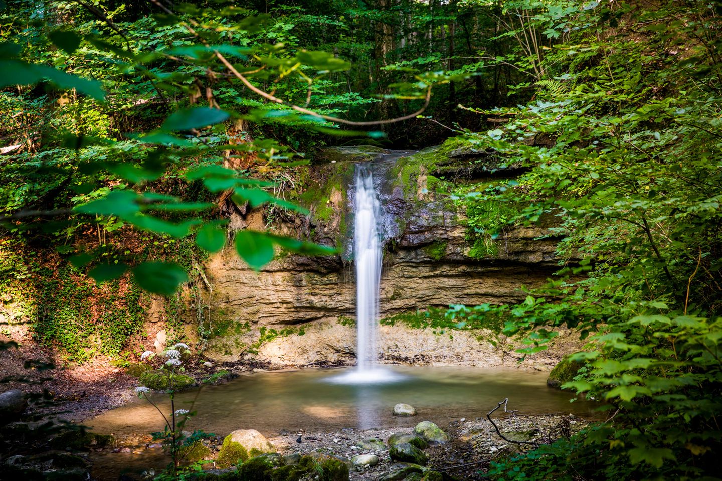 Pfannenstielweg: durch das Meilemer Tobel Kleiner Wasserfall ergiesst sich in einen Waldbach.