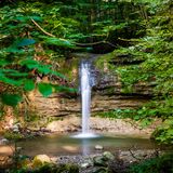 Kleiner Wasserfall ergiesst sich in einen Waldbach.
