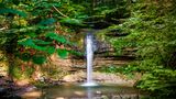 Kleiner Wasserfall ergiesst sich in einen Waldbach.