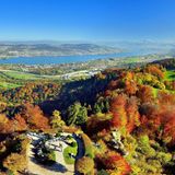 Drohnen-/Luftaufnahme: Blick auf den herbstlichen Uetliberg, im Hintergrund sieht man den Zürichsee und die Albiskette.