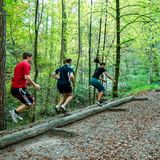 Zwei Männer und eine Frau betätigen sich sportlich an einer Station des Zürcher Vitaparcours (am Wegesrand liegender Baumstamm).
