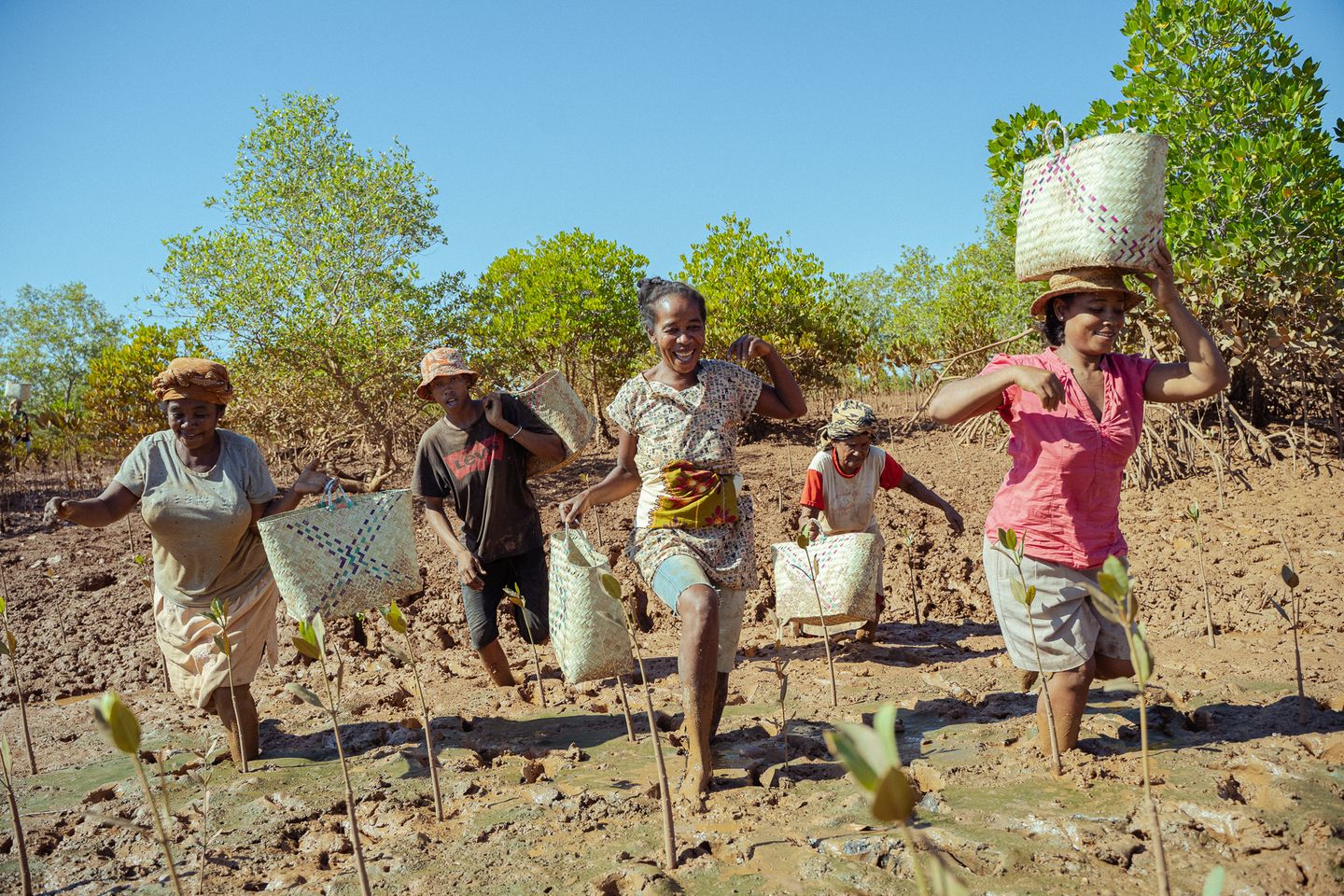 Gegen die Zerstörung: Im ländlichen Madagaskar, in der Gemeinde Majunga, setzen sich Menschen für die Wiederherstellung der Mangroven ein. Mehr und mehr werden sich die Locals bewusst darüber, wie wichtig diese Ökosysteme für die Natur und auch für die Menschen sind: etwa für den Fischfang und als Küstenschutz