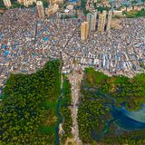 Eindrucksvoll zeigt diese Luftaufnahme des indischen Fotografen Star Udyawar, wie sich die menschliche Zivilisation mehr und mehr in die Natur hineinfräst. Zahllose Hektar Mangroven sind in den vergangenen Jahrzehnten rasch wachsenden Städten zum Opfer gefallen. Weniger als die Hälfte der ursprünglichen Mangroven haben weltweit überlebt