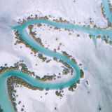 Lebensader in der Trockenheit: Ein Fluss mäandert durch die Wüste in der Region Al Dhafra in Abu Dhabi. Das türkis-blaue Band ist gesäumt vom üppigen Grün der Mangroven, die hier als Galeriewälder wachsen