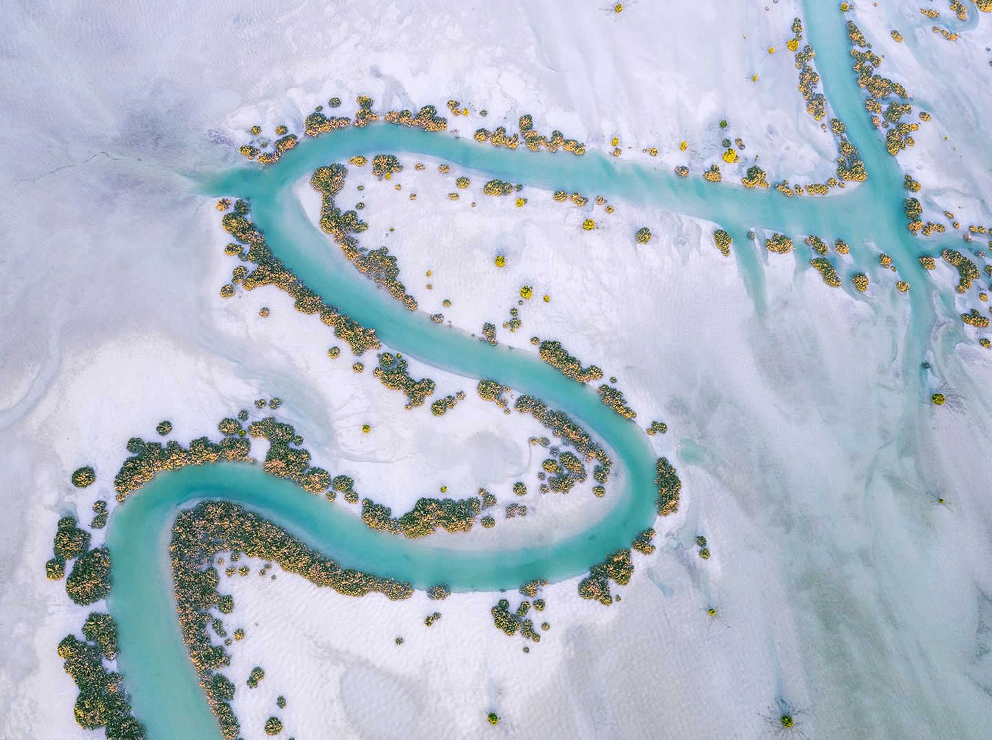 Lebensader in der Trockenheit: Ein Fluss mäandert durch die Wüste in der Region Al Dhafra in Abu Dhabi. Das türkis-blaue Band ist gesäumt vom üppigen Grün der Mangroven, die hier als Galeriewälder wachsen