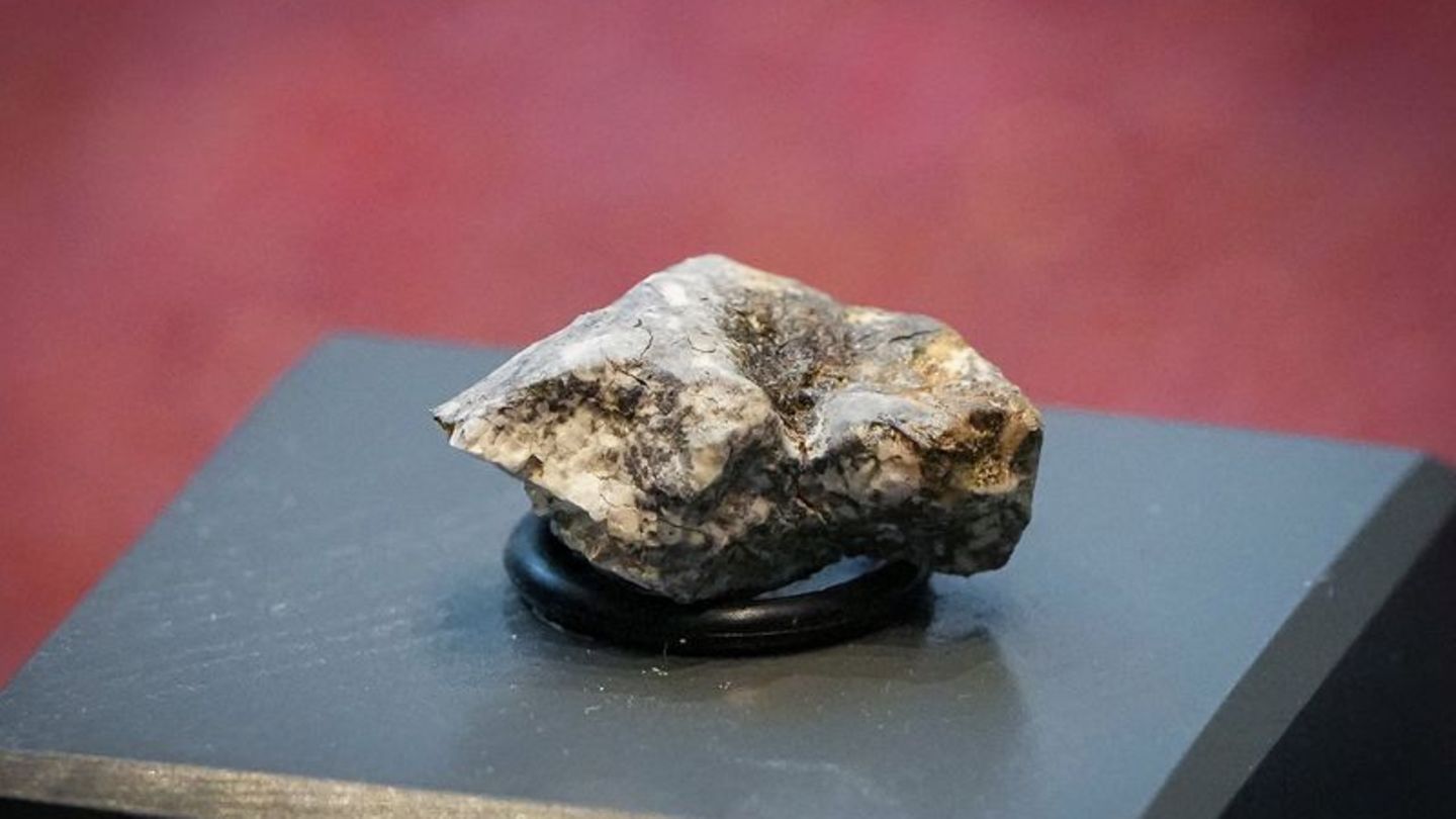 Die Trümmer des "Ribbeck"-Meteoriten, der im Januar in Brandenburg niederging, rochen intensiv nach faulen Eiern. Foto: Soeren S