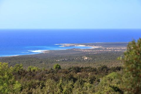 ein blick auf die natur und das meer zyperns