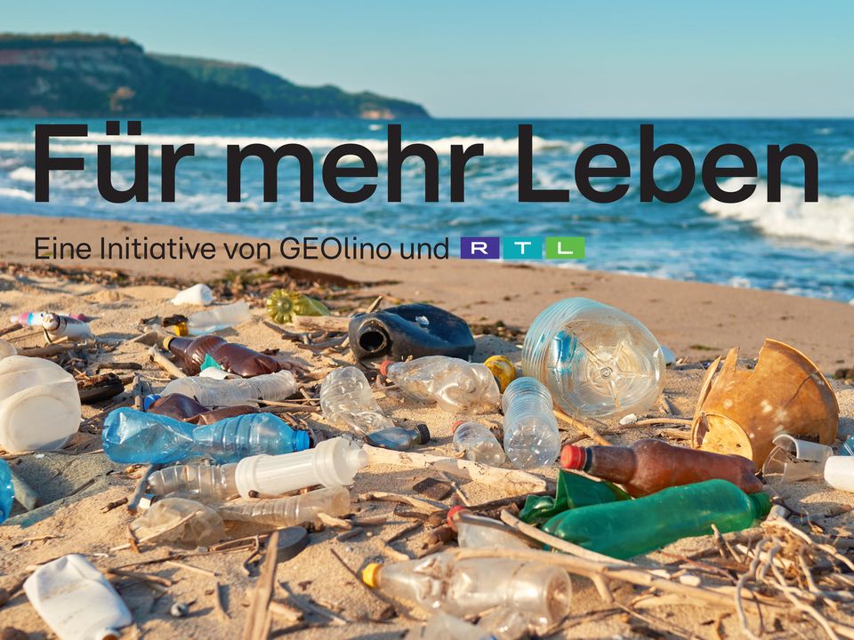 Die Themenwoche mit dem neuen Lable „Für Mehr Leben“ von RTL und GEOlino lenkt den Fokus auf die Bedeutung eines geschützten Meeres für uns, aber insbesondere auf seine beeindruckende Artenvielfalt und die Faszination sowie Schönheit, die die Unterwasserwelt birgt.