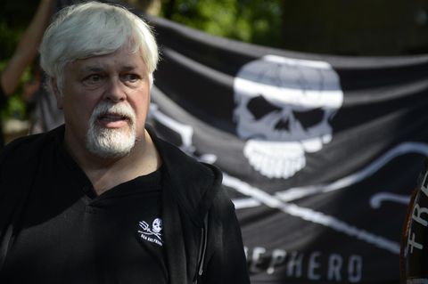 Paul Watson mit einer Sea Shepherd Flagge mit Totenkopf im Hintergrund