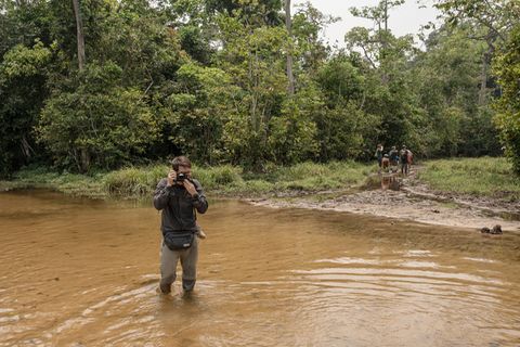 Zentralafrikanische Republik: Ebola, Anthrax, Corona: Den Erregern im Dschungel auf der Spur