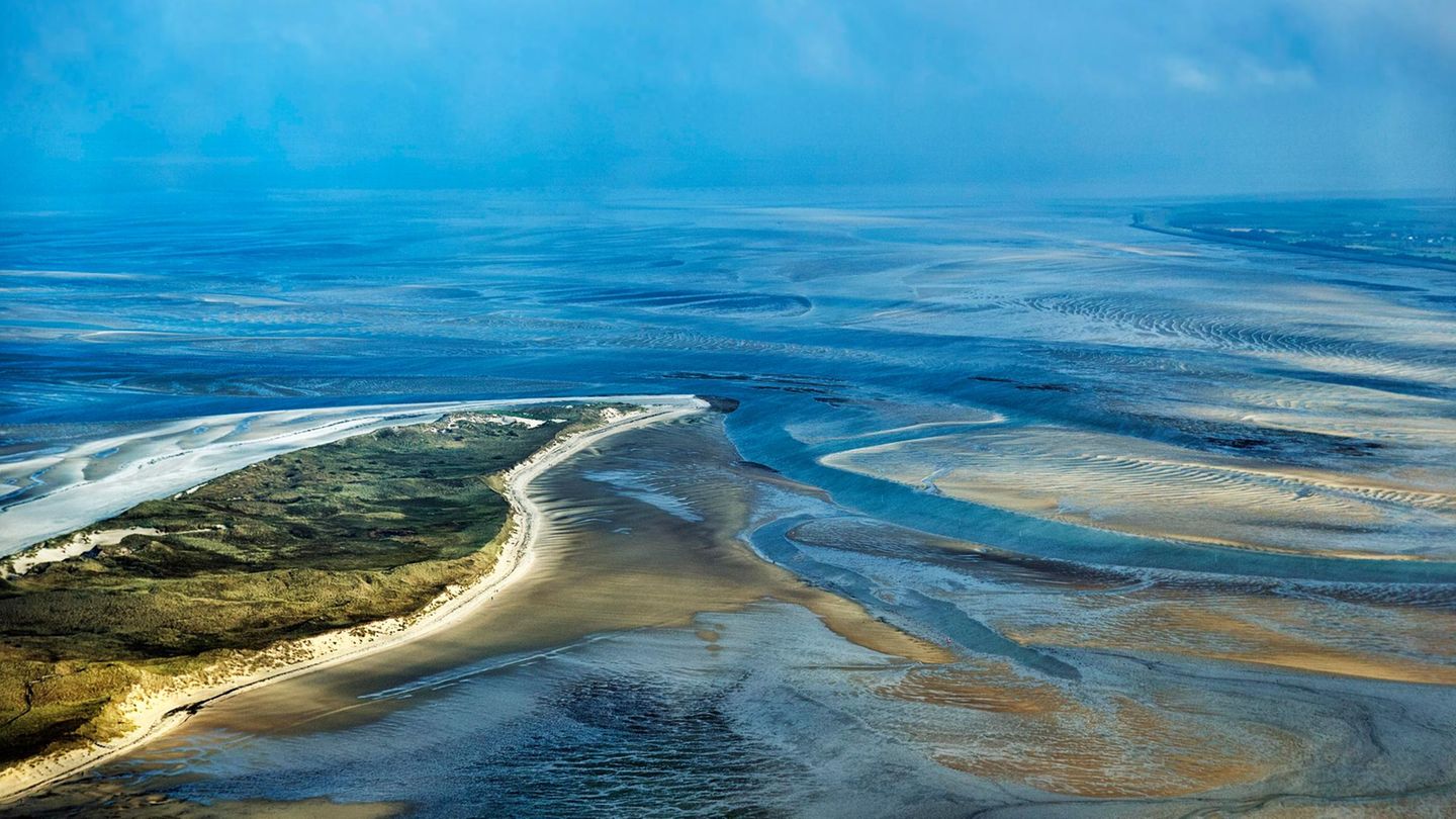 Luftaufnahme Wattenmeer