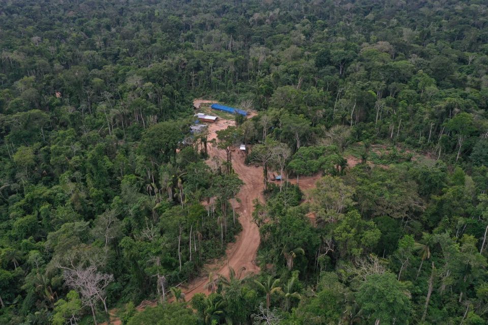 Sandige Strasse die durch einen Wald führt