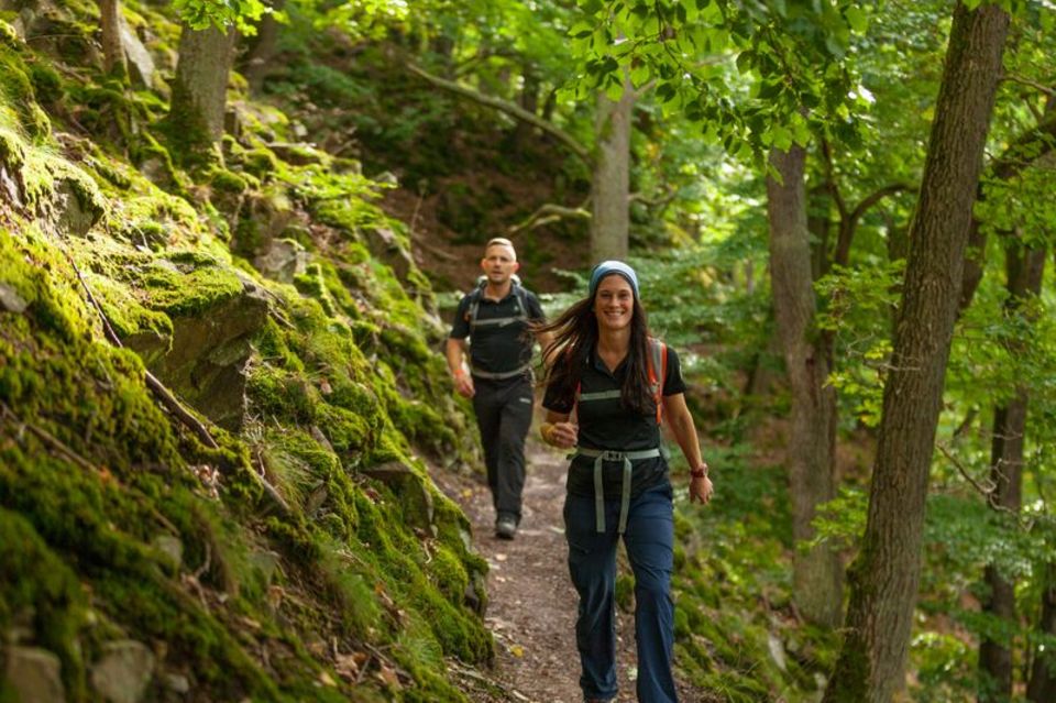 Eine Frau und ein Wand wandern inmitten grüner Natur auf dem Urwaldsteig am Edersee