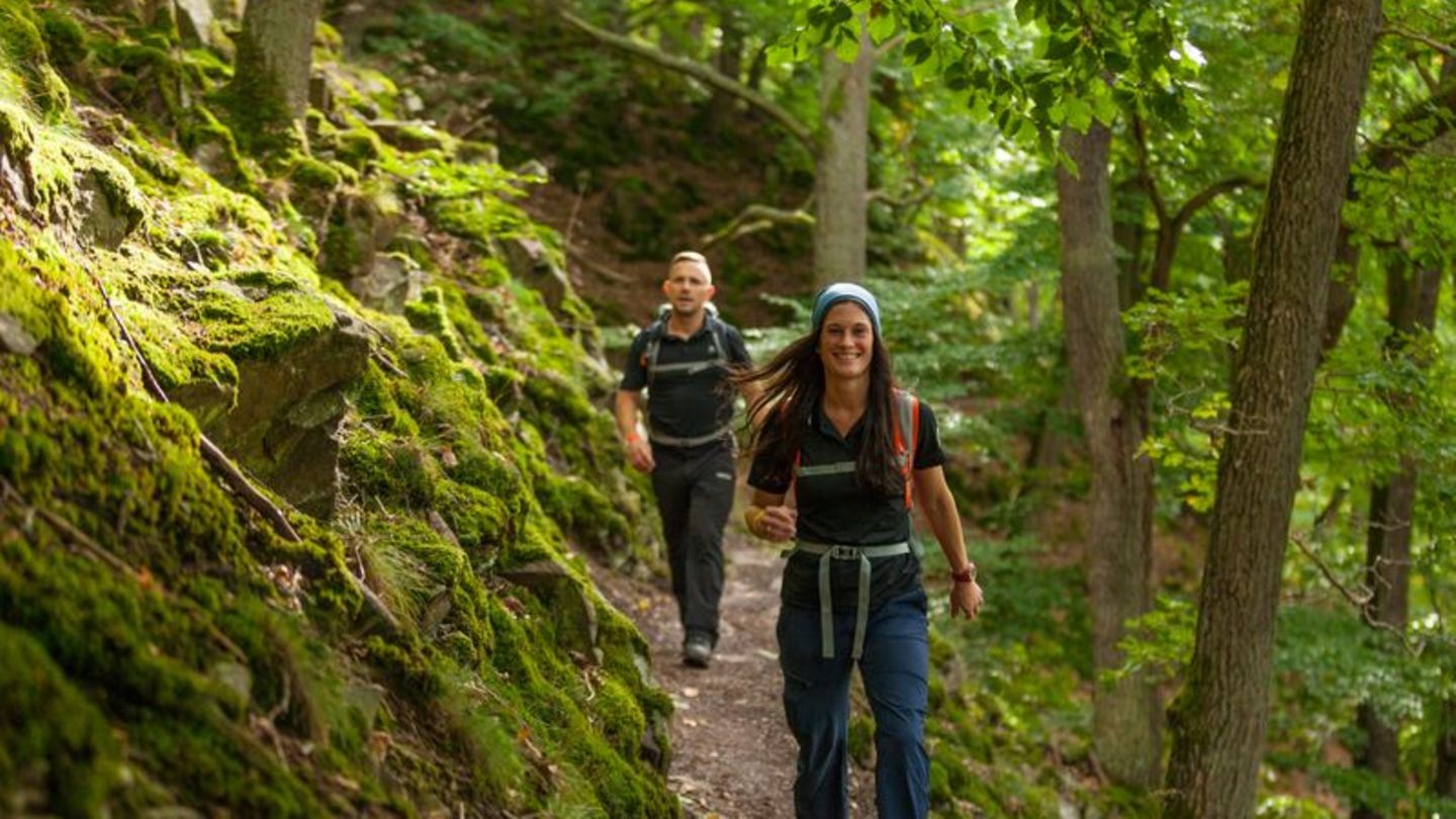 Eine Frau und ein Wand wandern inmitten grüner Natur auf dem Urwaldsteig am Edersee