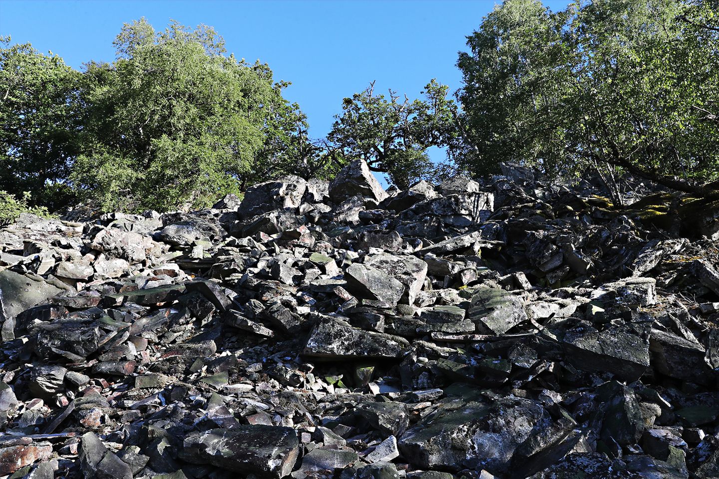 Die Mörschieder Burr ist ein fast 650 Meter hoher, für den Hunsrück-Hochwald typischer Höhenrücken. Eine Besonderheit sind die an der Burr gelegenen Rosselhalden. Die Gesteinshalden entlang abgeneigter Hänge entstanden durch Verwitterungsvorgänge wie Frostsprengung während der letzten Eiszeit. Heute sind die Rosselhalden wichtige Rückzugsorte für bedrohte Tierarten wie die Wildkatze, die entlang der knorrigen Wälder und abgelegenen Hohlräume der Felsblöcke beste Lebensbedingungen findet. Erwandern lässt sich die Mörschieder Burr auf der 20 Kilometer langen, 12. Etappe des Saar-Hunsrücks-Steigs. Die Traumschleife "Kirschweiler Festung" bietet sich für Wandernde mit weniger Zeit oder Kondition an.