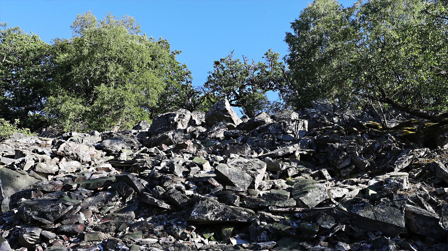 Die Mörschieder Burr ist ein fast 650 Meter hoher, für den Hunsrück-Hochwald typischer Höhenrücken. Eine Besonderheit sind die an der Burr gelegenen Rosselhalden. Die Gesteinshalden entlang abgeneigter Hänge entstanden durch Verwitterungsvorgänge wie Frostsprengung während der letzten Eiszeit. Heute sind die Rosselhalden wichtige Rückzugsorte für bedrohte Tierarten wie die Wildkatze, die entlang der knorrigen Wälder und abgelegenen Hohlräume der Felsblöcke beste Lebensbedingungen findet. Erwandern lässt sich die Mörschieder Burr auf der 20 Kilometer langen, 12. Etappe des Saar-Hunsrücks-Steigs. Die Traumschleife "Kirschweiler Festung" bietet sich für Wandernde mit weniger Zeit oder Kondition an.