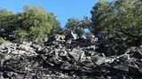 Die Mörschieder Burr ist ein fast 650 Meter hoher, für den Hunsrück-Hochwald typischer Höhenrücken. Eine Besonderheit sind die an der Burr gelegenen Rosselhalden. Die Gesteinshalden entlang abgeneigter Hänge entstanden durch Verwitterungsvorgänge wie Frostsprengung während der letzten Eiszeit. Heute sind die Rosselhalden wichtige Rückzugsorte für bedrohte Tierarten wie die Wildkatze, die entlang der knorrigen Wälder und abgelegenen Hohlräume der Felsblöcke beste Lebensbedingungen findet. Erwandern lässt sich die Mörschieder Burr auf der 20 Kilometer langen, 12. Etappe des Saar-Hunsrücks-Steigs. Die Traumschleife "Kirschweiler Festung" bietet sich für Wandernde mit weniger Zeit oder Kondition an.