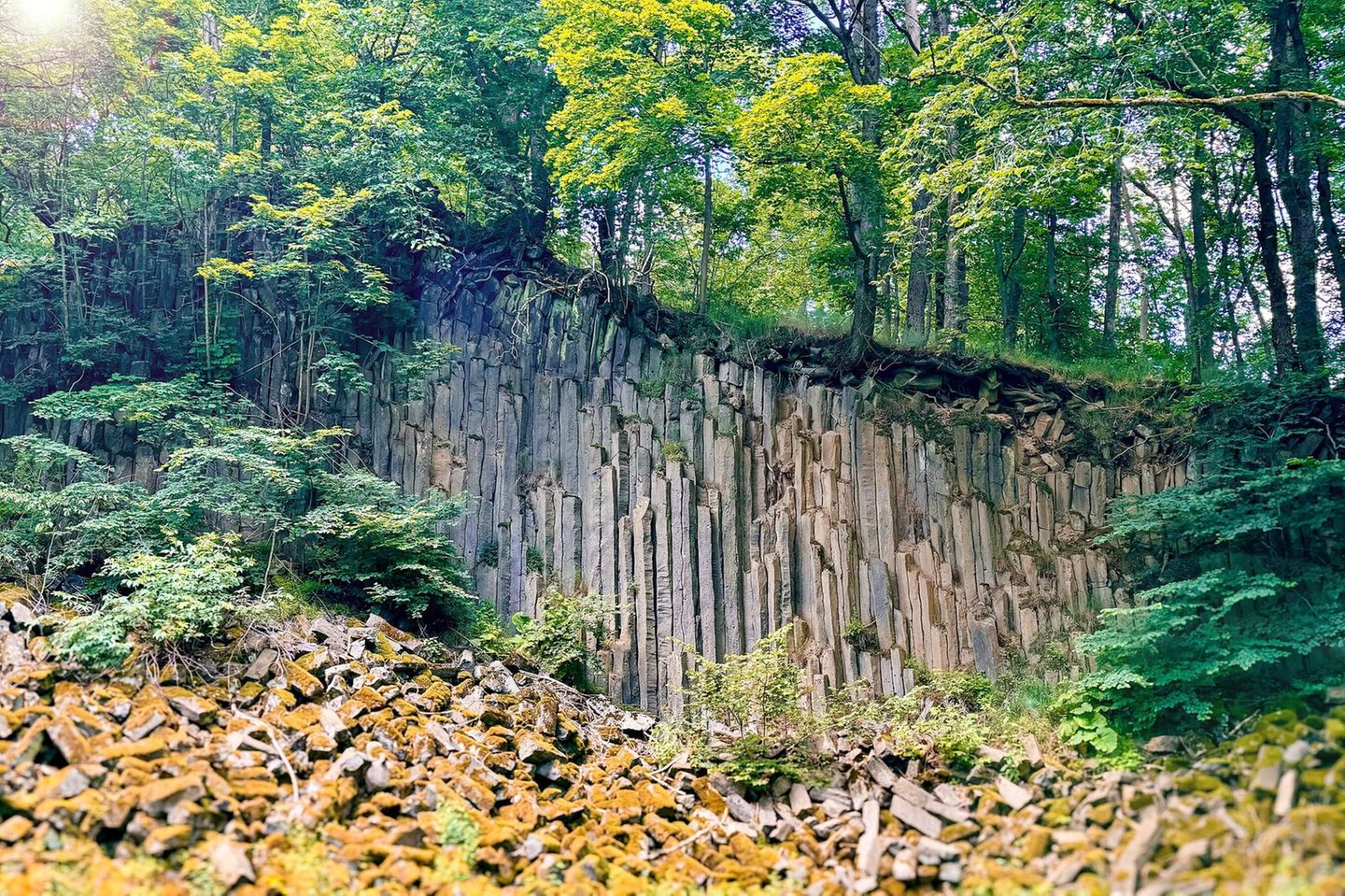 Der Geißkopf bei Wölferbütt in Thüringen ist einer der beiden Gipfel des Dietrichsbergs im Biosphärenreservat Rhön. Seit 1979 gilt die Blockhalde, die beim Zerfall großer Basaltsäulen entstanden ist, als "geologisches Naturdenkmal". Dahinter ist ein Vulkanschlot aus dem Miozän aufgeschlossen. Steile Hänge, Bäche und Gewässer prägen die urigen Wälder der Umgebung. Der Geißkopf ist durch den Keltenpfad, eine Extratour des Hochrhöners, erschlossen.