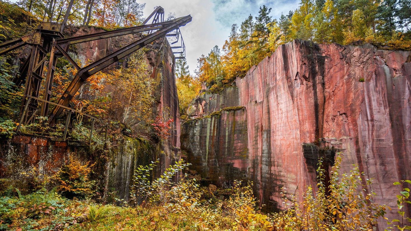 Der rund 350 Meter hohe Rochlitzer Berg in Sachsen ist seit über 900 Jahren Abbaugebiet für den Rochlitzer Porphyrtuff. Das markant rote Gestein entstand vor 290 Millionen Jahren als Sediment eines Supervulkans – und diente in historischer Zeit und weit über die Region hinaus als Baustoff, unter anderem für Kirchen und Stadtmauern. Die alten Gebäude in den Steinbrüchen und die mit Wasser gefüllten Gruben bieten heute Fledermäusen, Waldvögeln, Lurchen und Siebenschläfern einen vielfältigen Lebensraum. Erkunden lässt sich der Berg auf dem 2,7 Kilometer langen Porphyrlehrpfad.